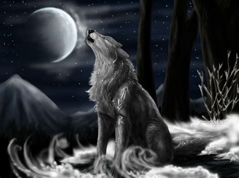 Wolf 4k Photos, Download The BEST Free Wolf 4k Stock Photos .